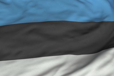 Estońska flaga jest podzielona na 3 poziome pasy: niebieski, czarny i biały