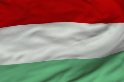 Węgierska flaga to prostokąt podzielony na trzy poziome pasy w kolorach: czerwonym, białym i zielonym. Symbolizują one odpowiednio: siłę, wiarę i nadzieję